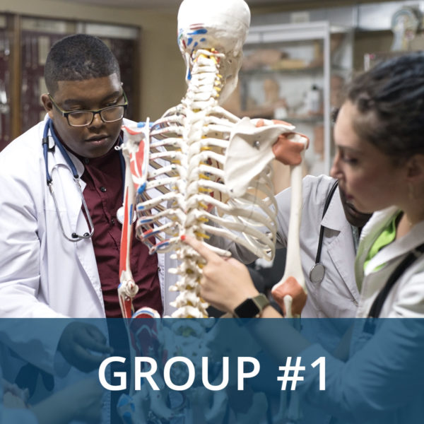Popular Healthcare Programs With Advanced Degree Early Acceptance Options Group 1